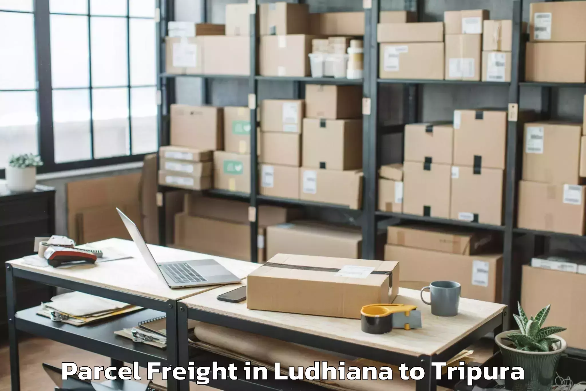 Book Ludhiana to Manu Bazar Parcel Freight